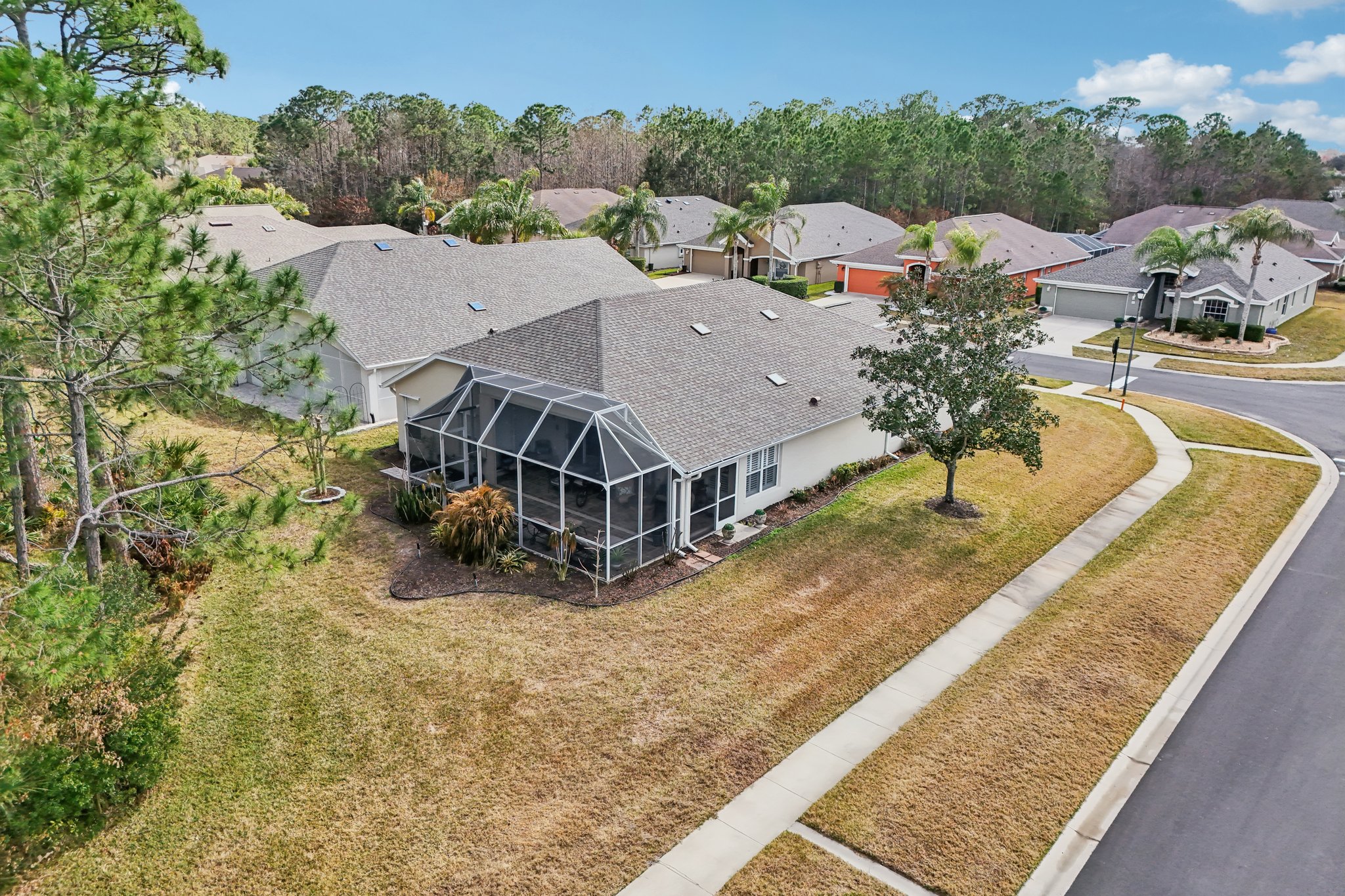 Areca Palm Dr-S1902-060.jpg