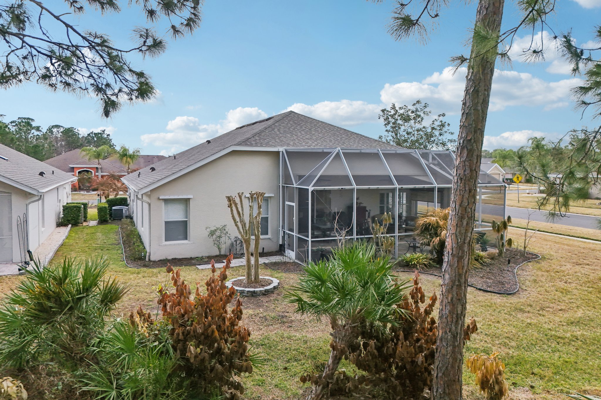 Areca Palm Dr-S1902-061.jpg