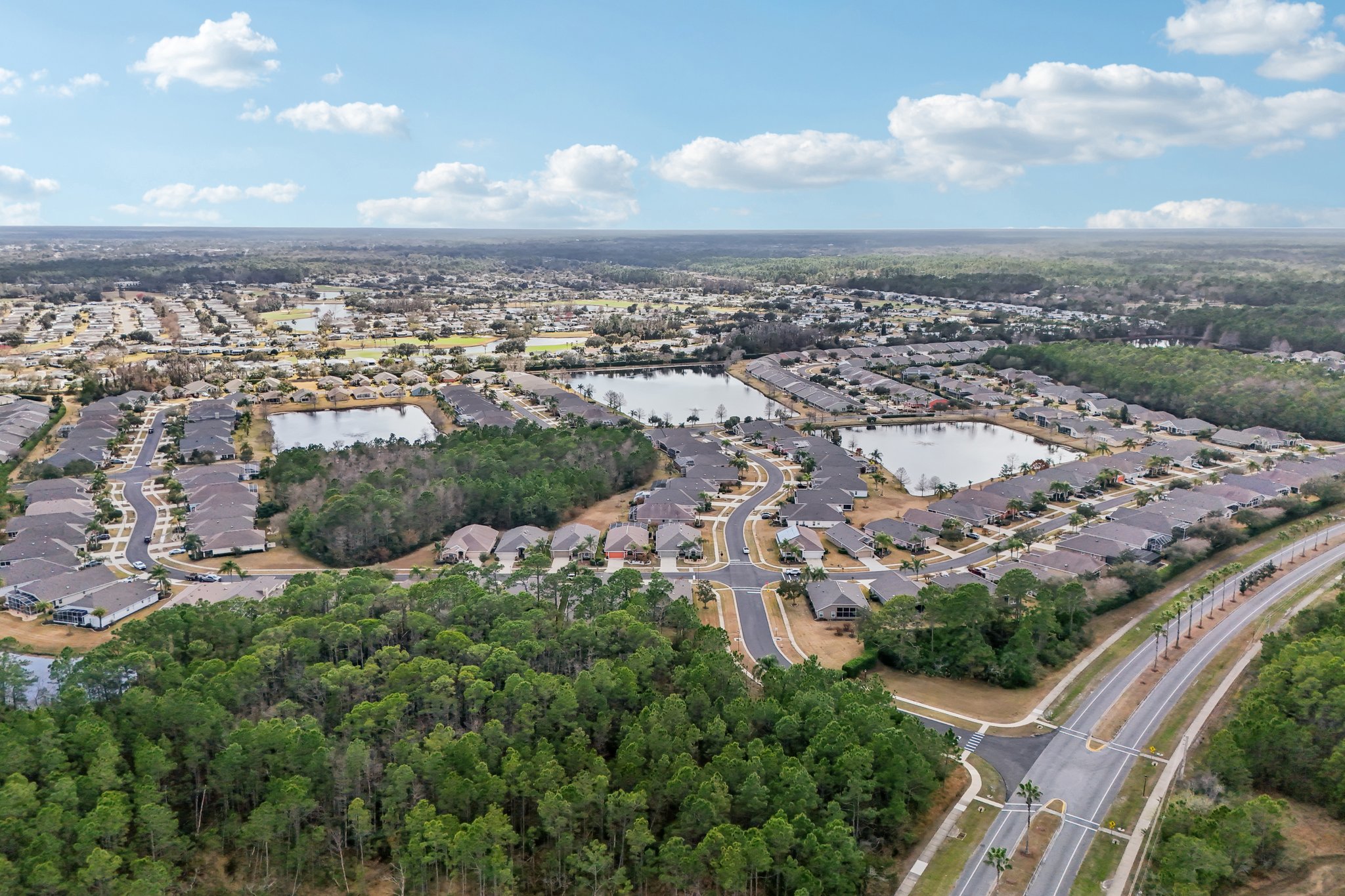 Areca Palm Dr-S1902-064.jpg