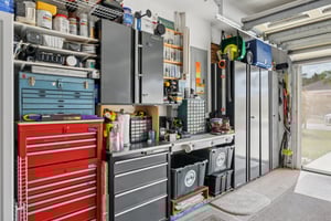 Areca Palm Dr-S1902-041.jpg