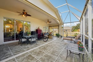 Areca Palm Dr-S1902-042.jpg