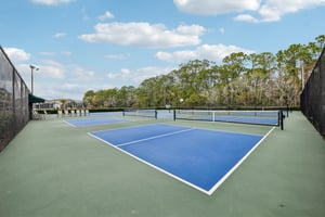 Areca Palm Dr-1902-914.jpg