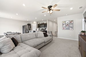 Interiors (29)