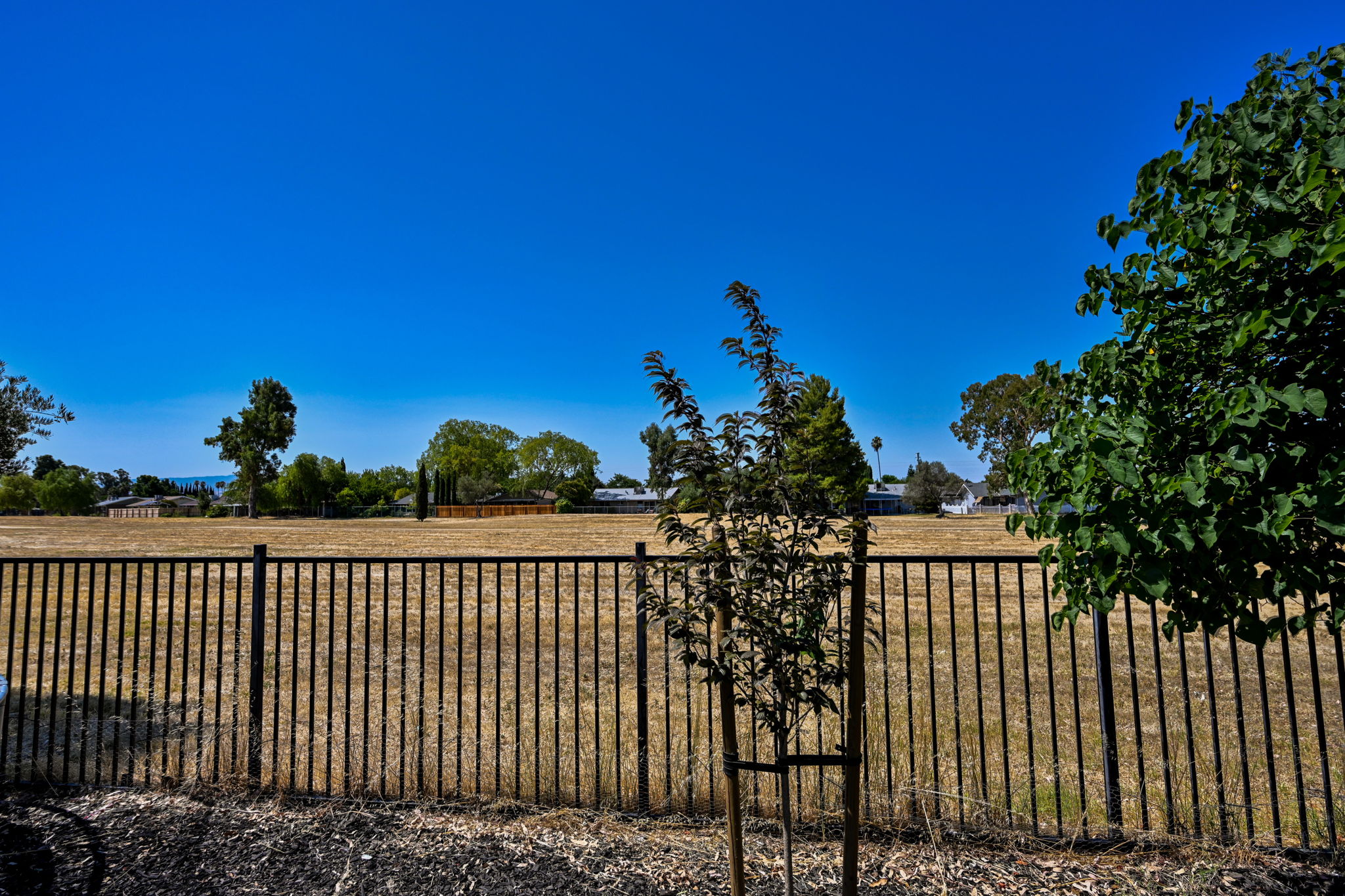  1434 Bluebell Dr, Livermore, CA 94551, US Photo 17
