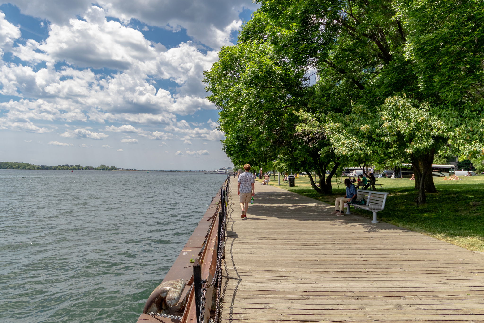 Toronto property showcase — delivered property photograph 49