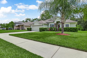 Front Yard