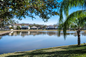 Backyard4 Water View