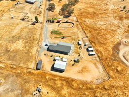  Photo 12