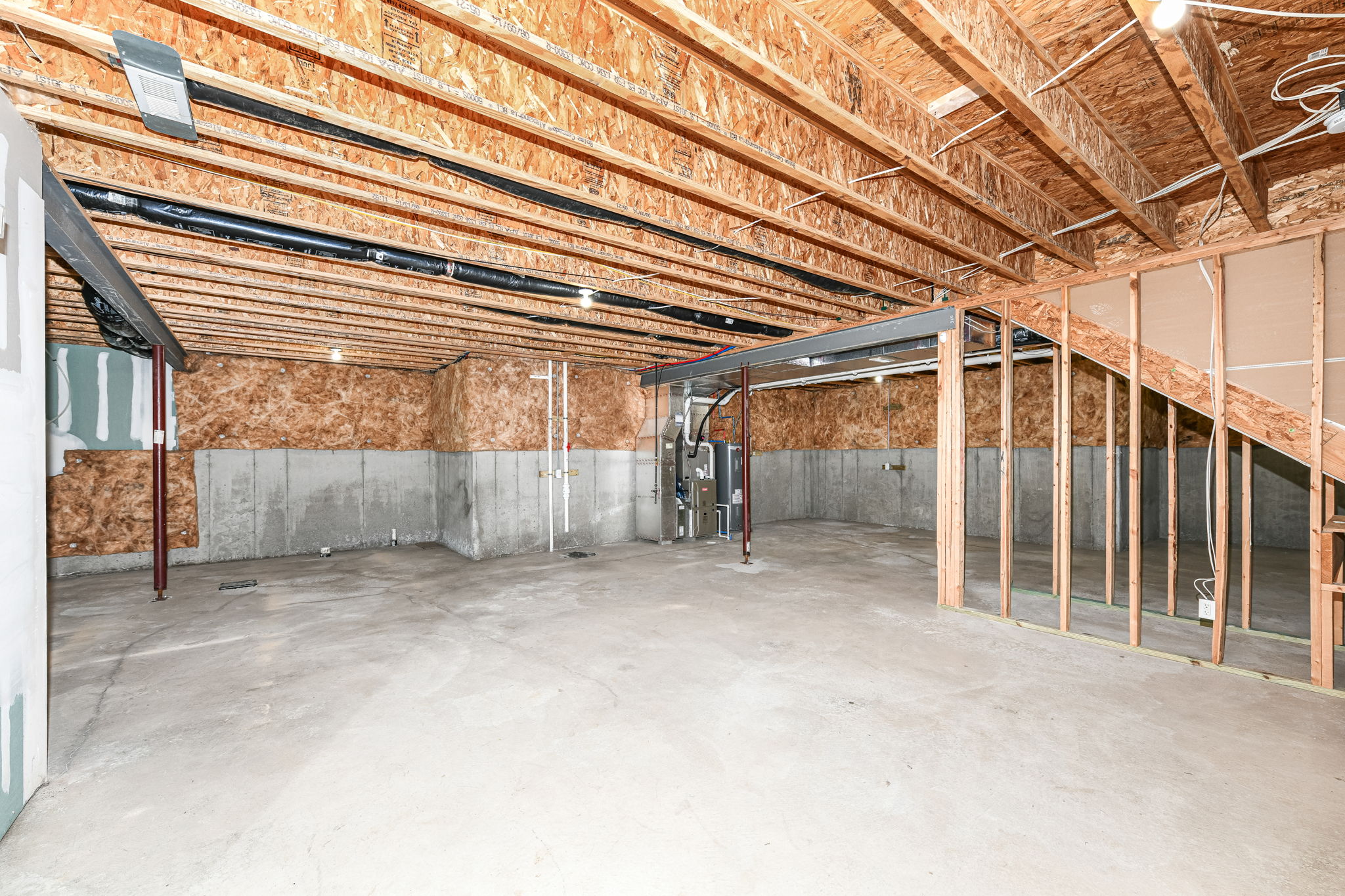 Walkout Basement