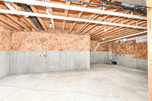 Walkout Basement