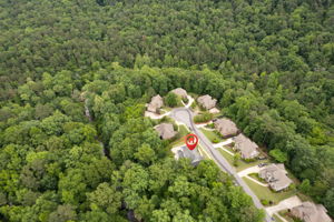  Photo 60