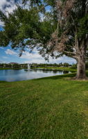 Backyard2
