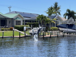 See the dolphin in the canal!