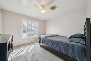 Musgrave Rd-S1610-056
