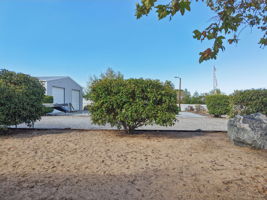 Musgrave Rd-S1610-067