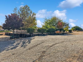 Musgrave Rd-S1610-071