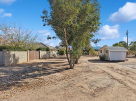 Musgrave Rd-S1610-074