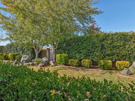 Musgrave Rd-S1610-089