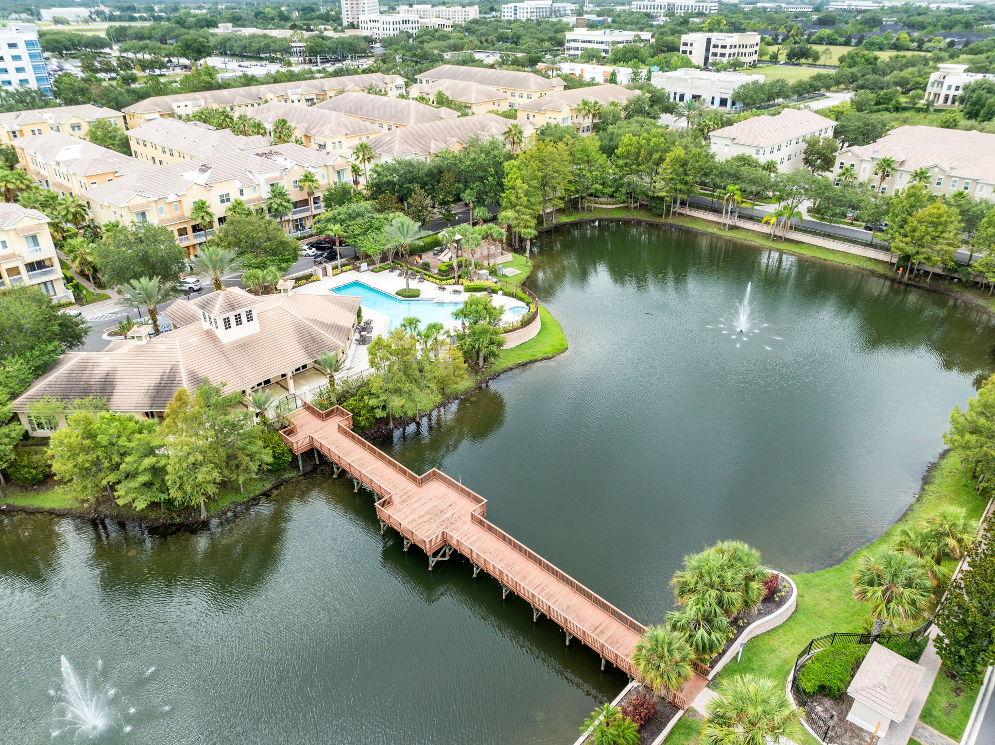 Bird View
