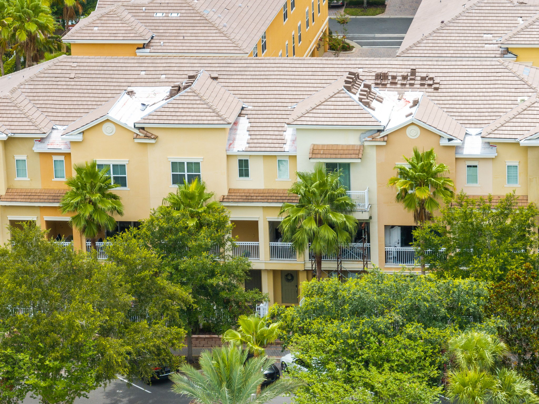 Bird View of Building