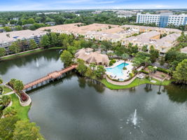 Bird View