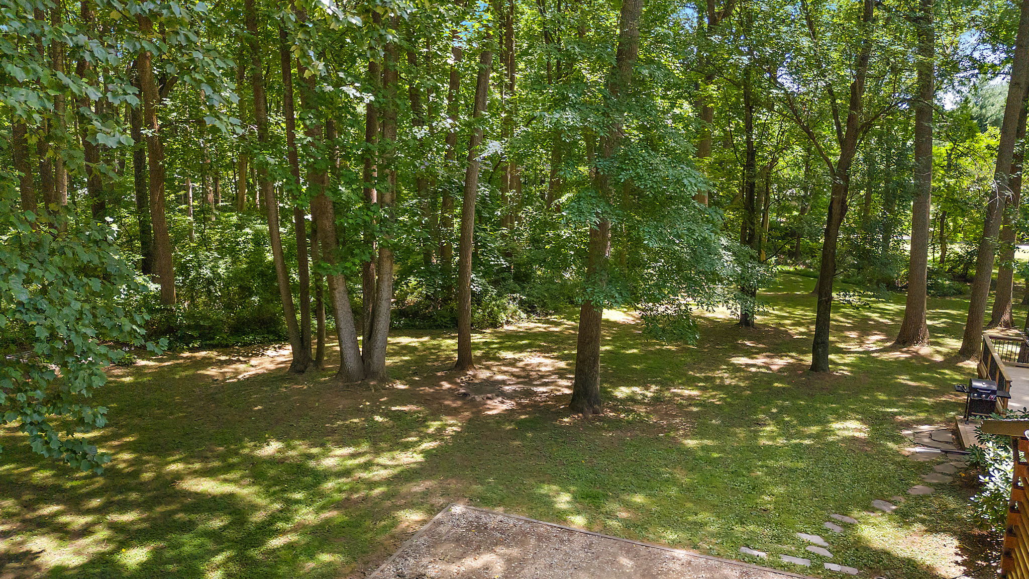  Photo 43