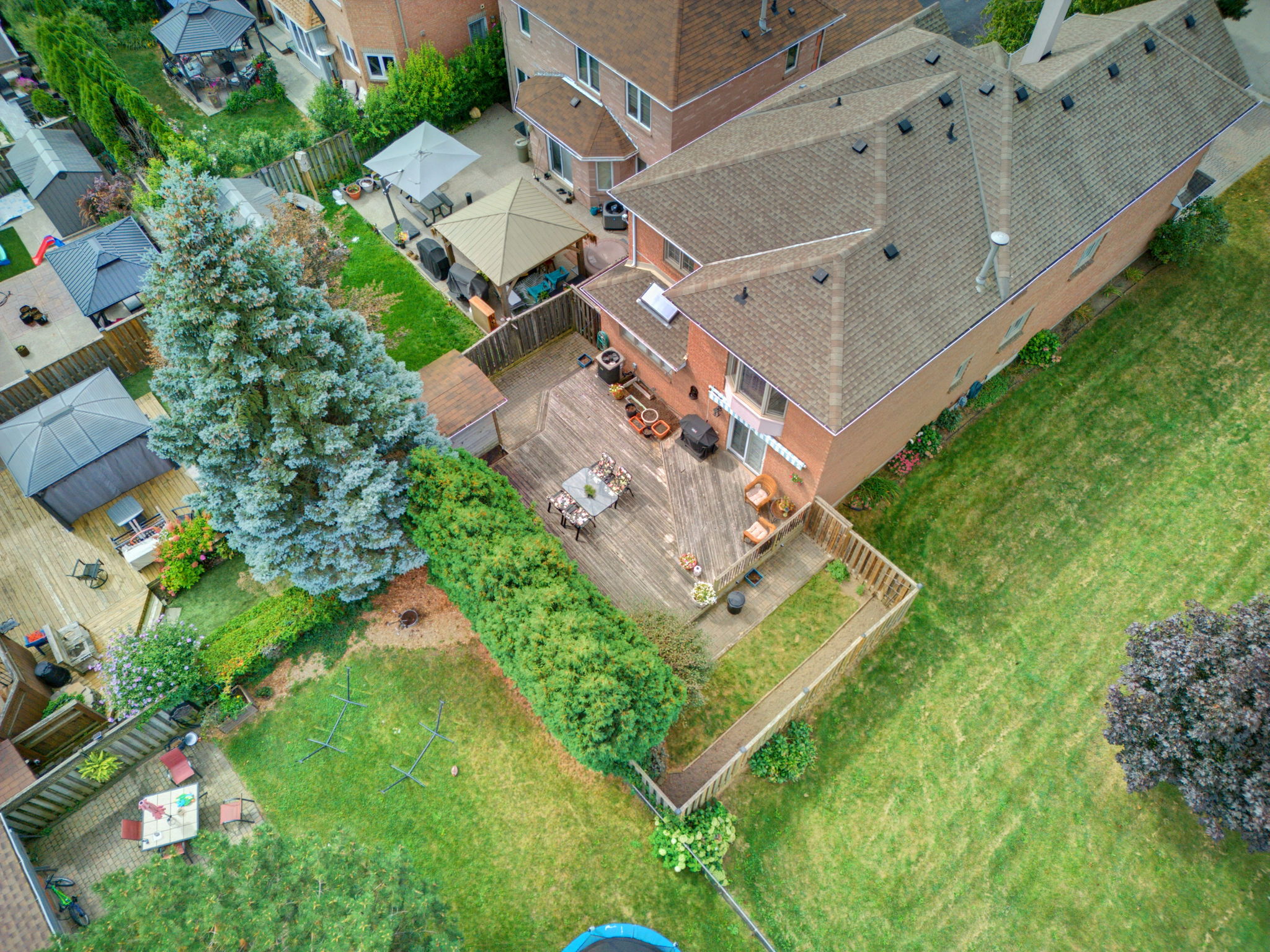  Photo 46