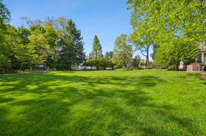 RAW_1769.jpg