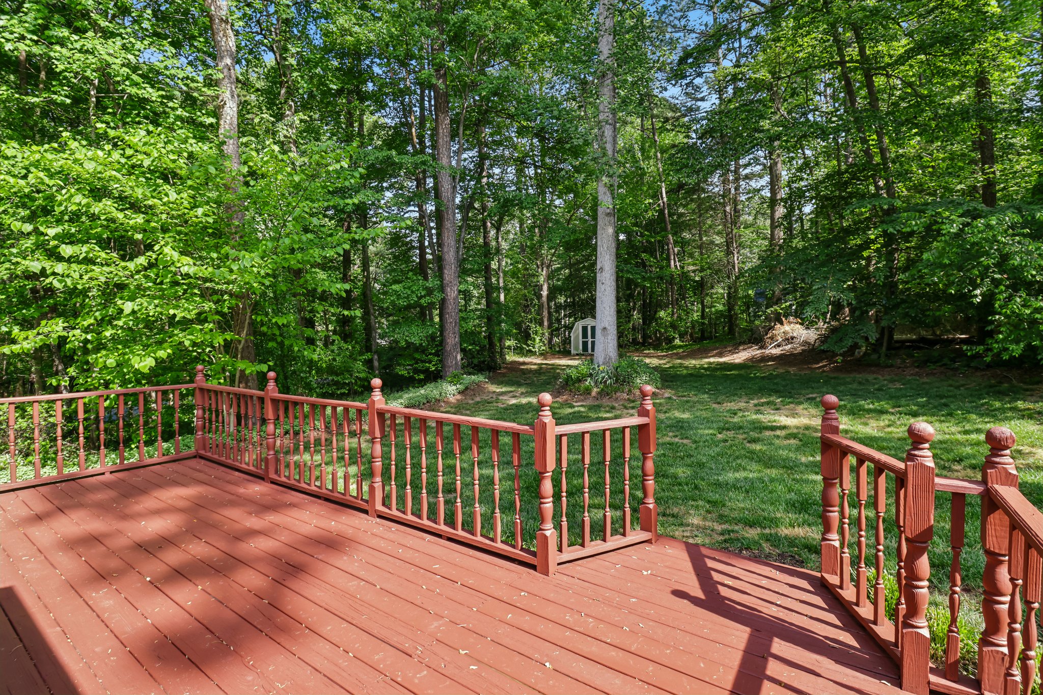 Mills Forest Ln-S0205-027.jpg
