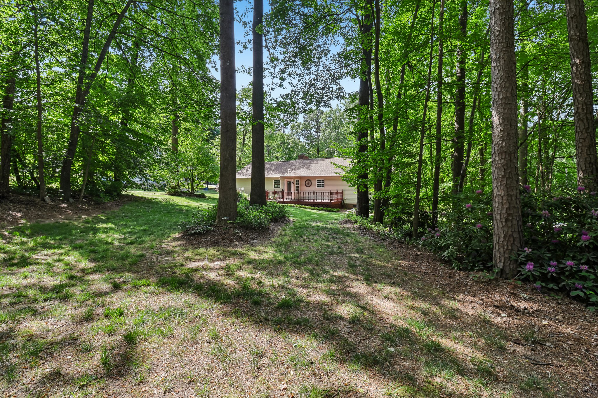 Mills Forest Ln-S0205-034.jpg