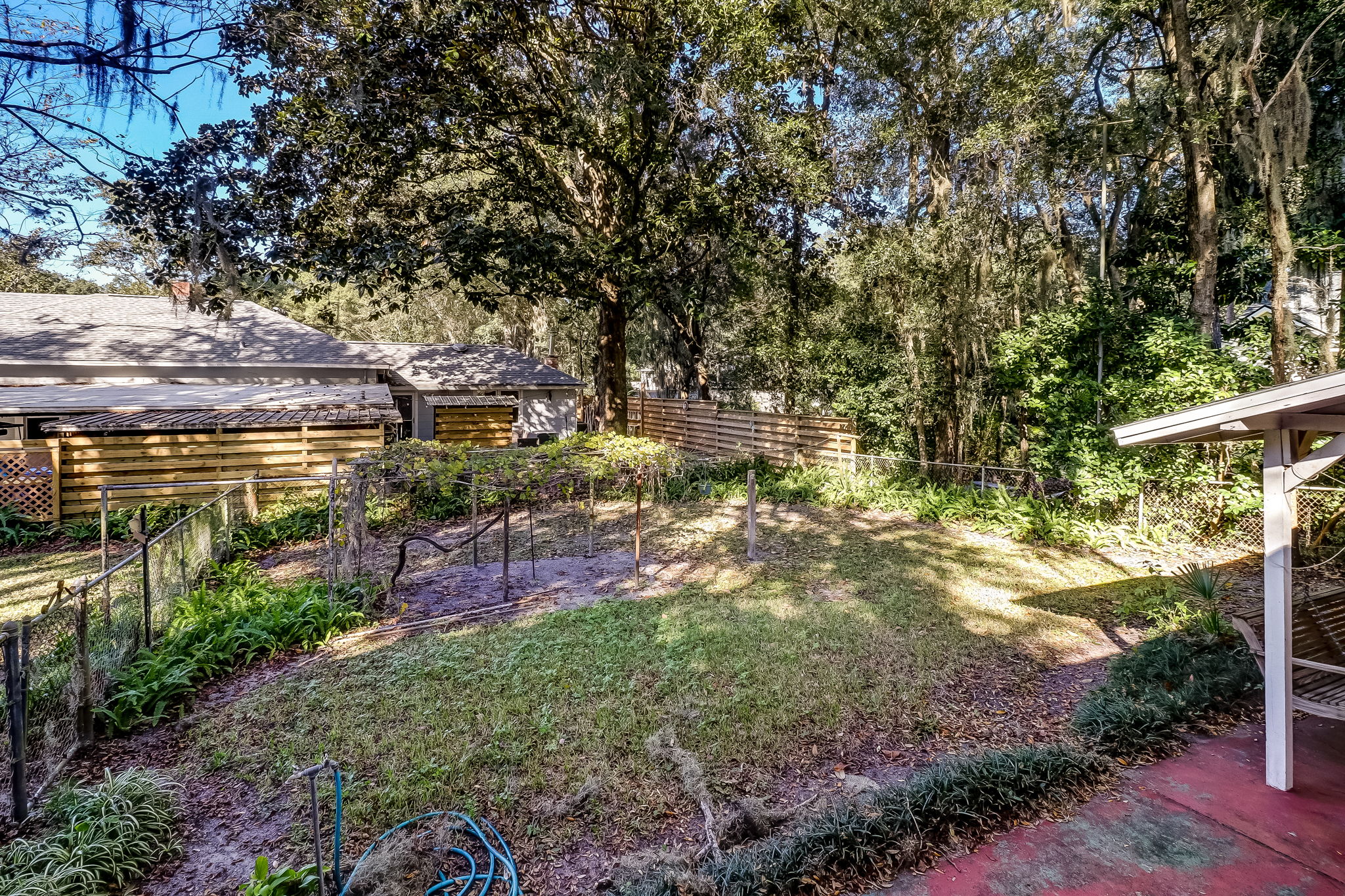 Back Yard