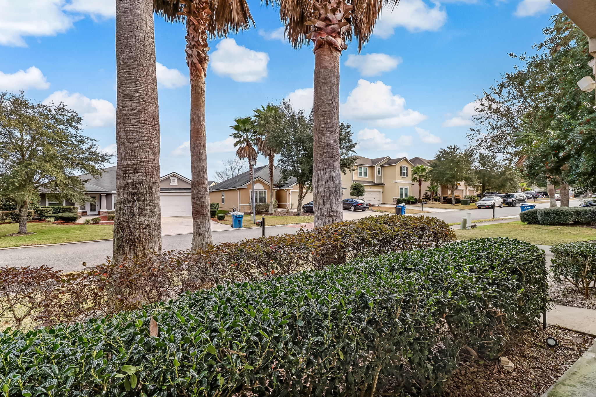 Front Yard