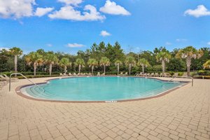 Yellow Bluff Landing