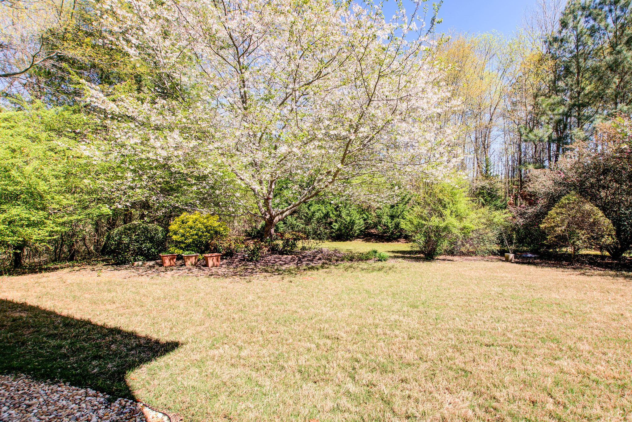 Exterior Back Yard