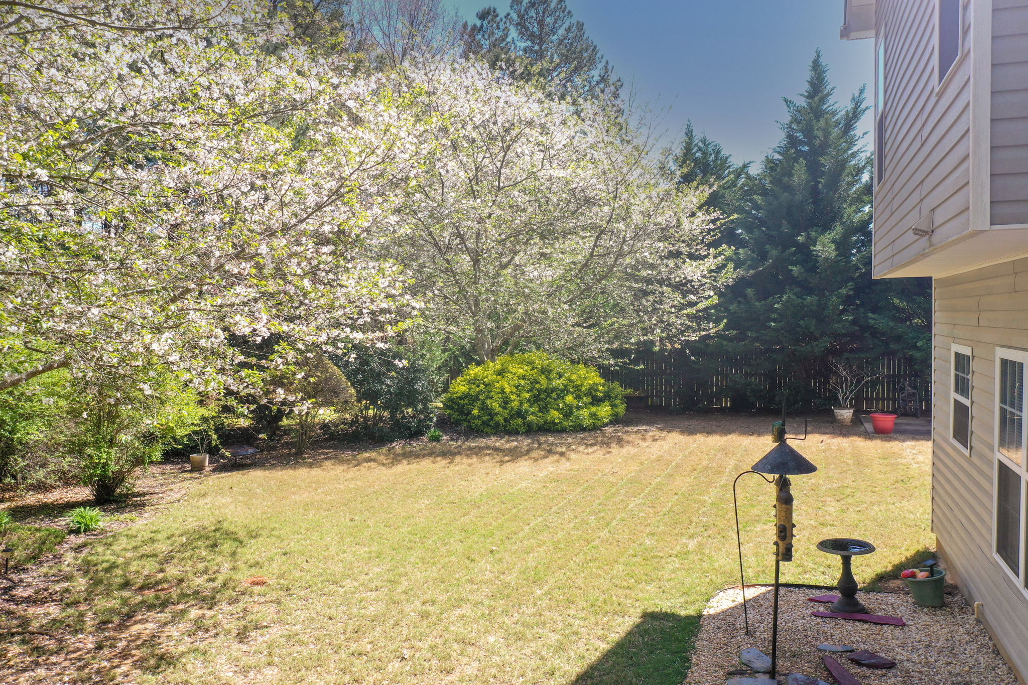 Exterior Back Yard