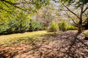 Exterior Back Yard