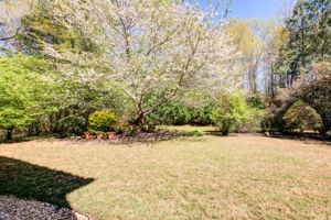 Exterior Back Yard