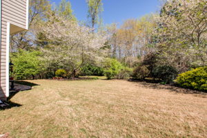 Exterior Back Yard
