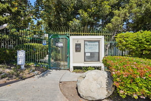 Brett Pl-2403-904.jpg