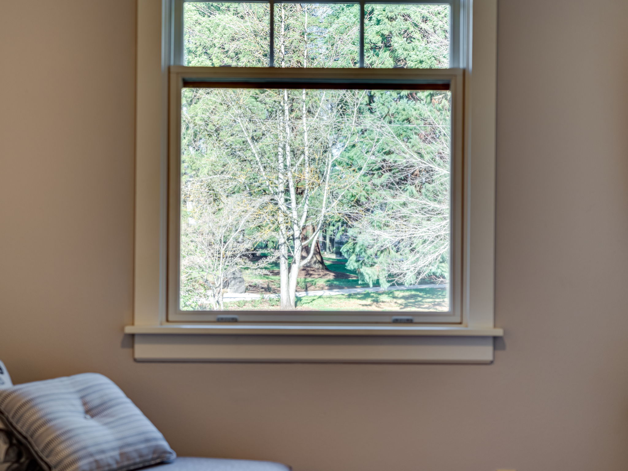 View from the TV/Den/bedroom