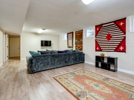 Downstair Familyroom