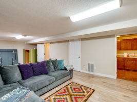 Downstairs Familyroom