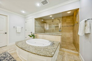 Jacuzzi & Walk in Shower