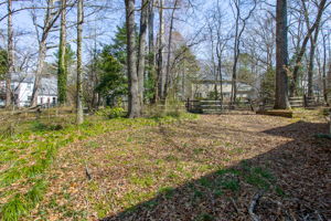33-Backyard