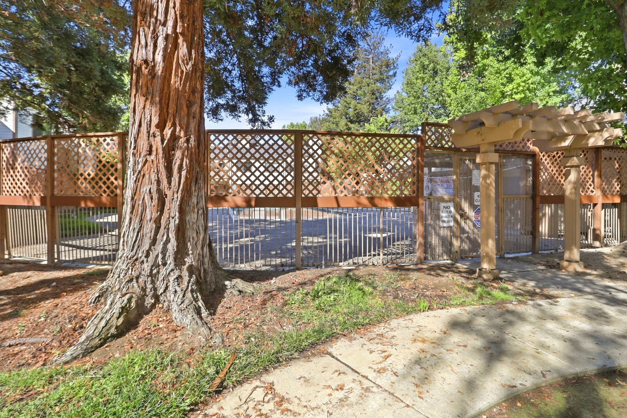 033_F8_1441 Rocklin Ct