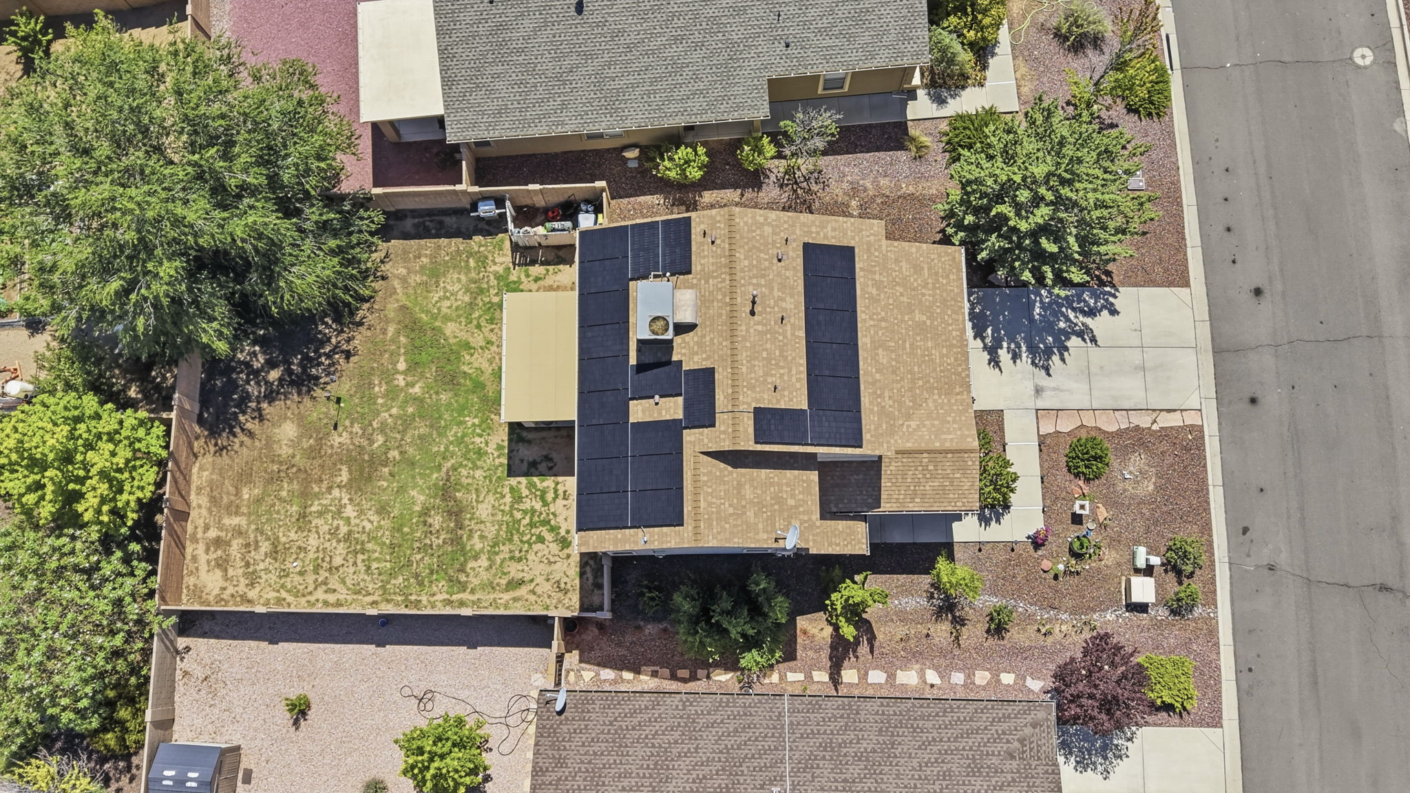 Birds Eye