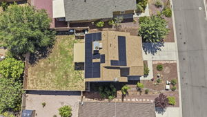 Birds Eye