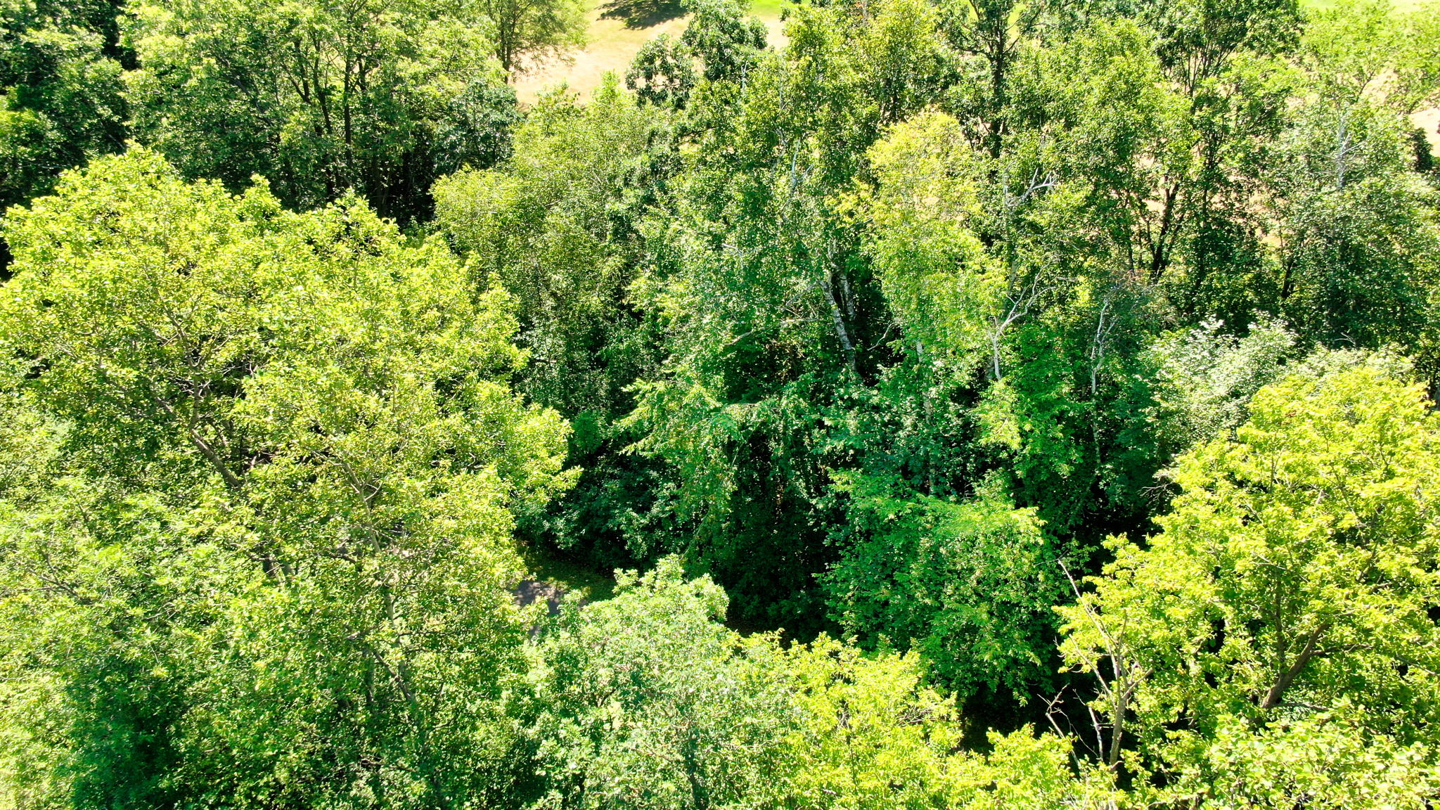 14XXX Dellwood Rd Photo 47