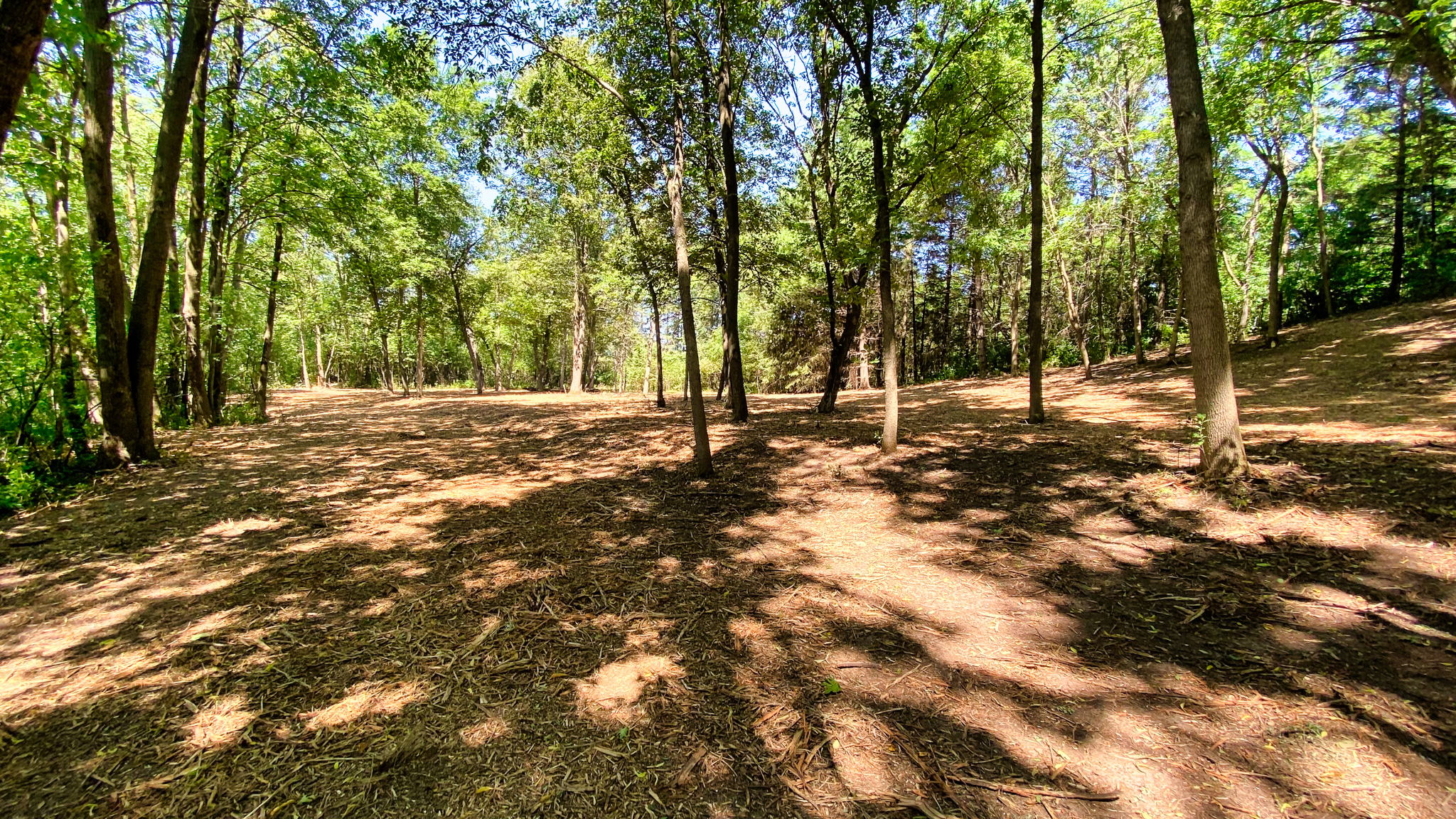 14XXX Dellwood Rd Photo 54