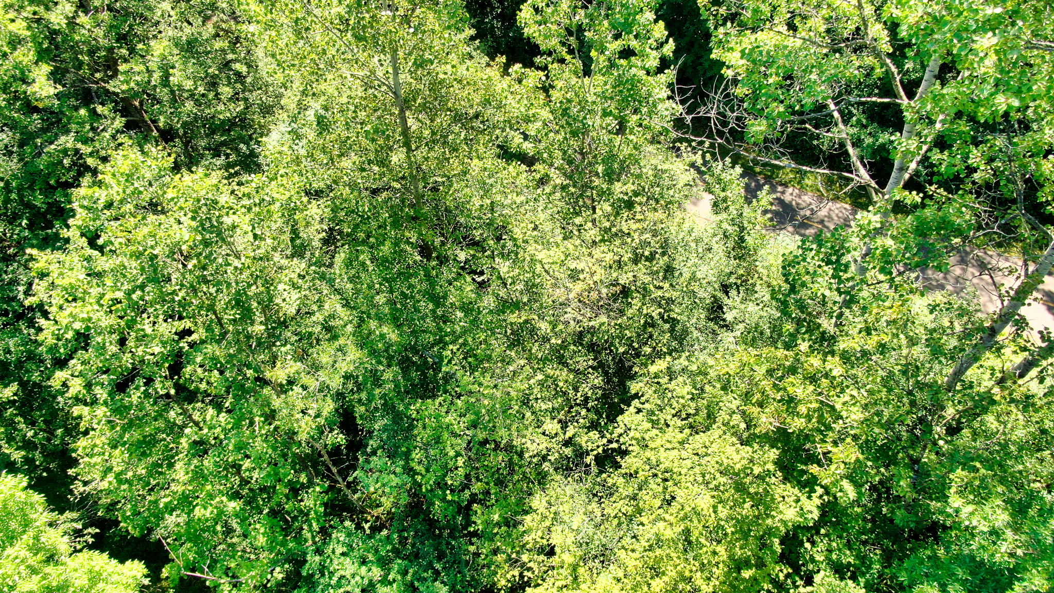 14XXX Dellwood Rd Photo 48